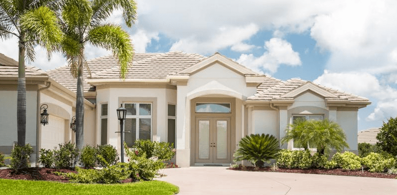 Ants in nice florida house