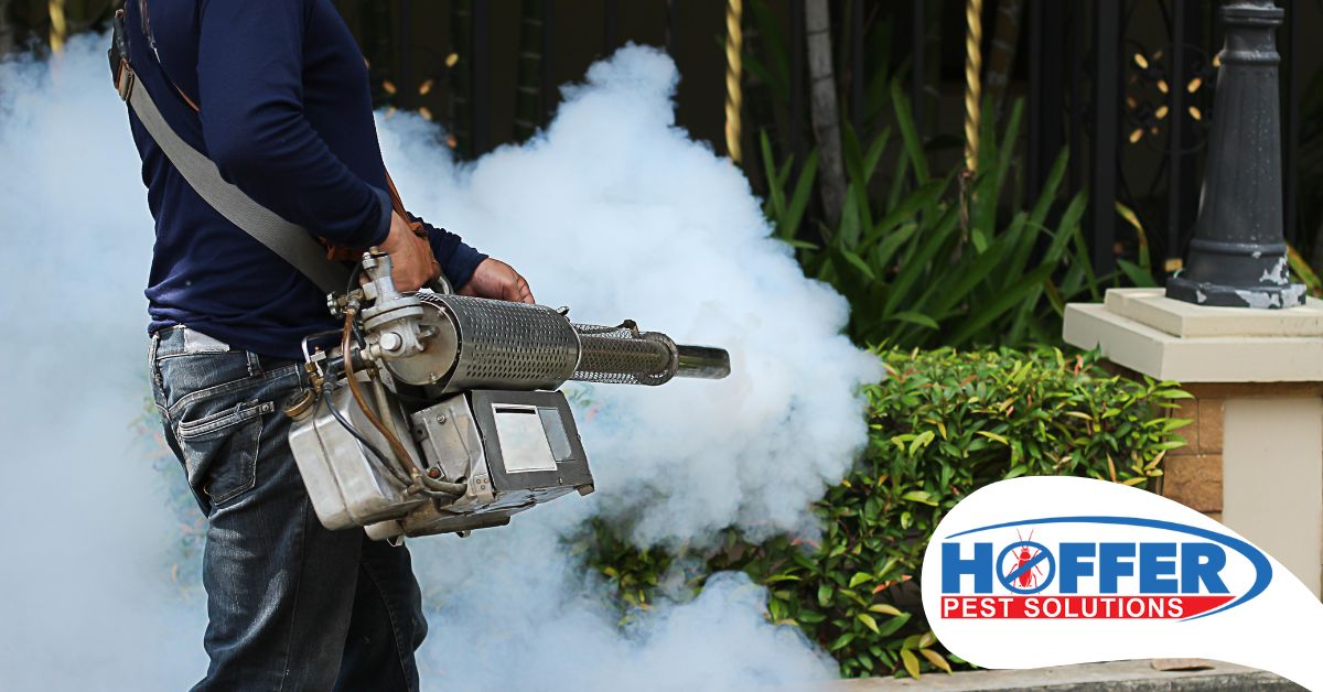 Spraying mosquito fog.