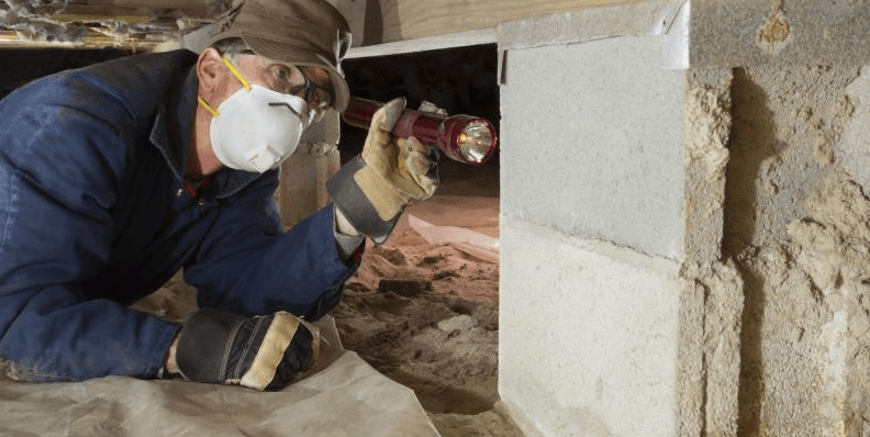 man checking home for termites