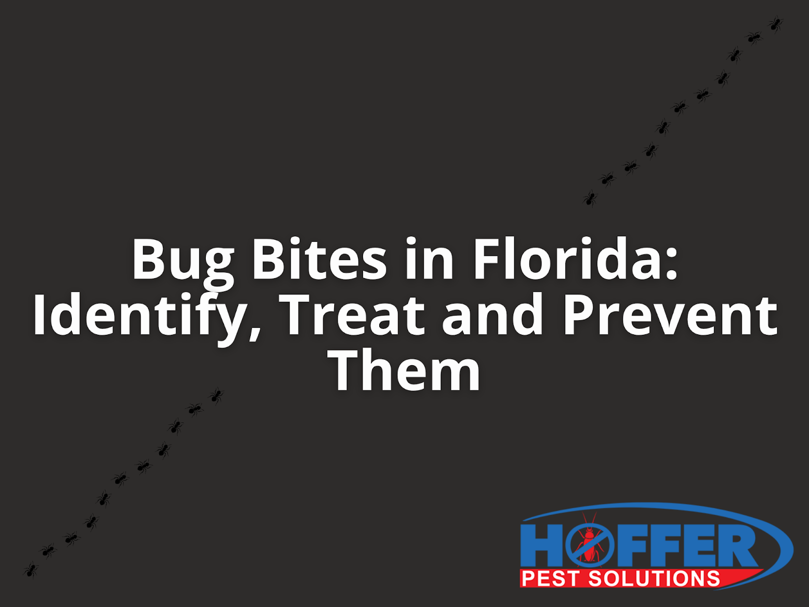 bug-bites-florida