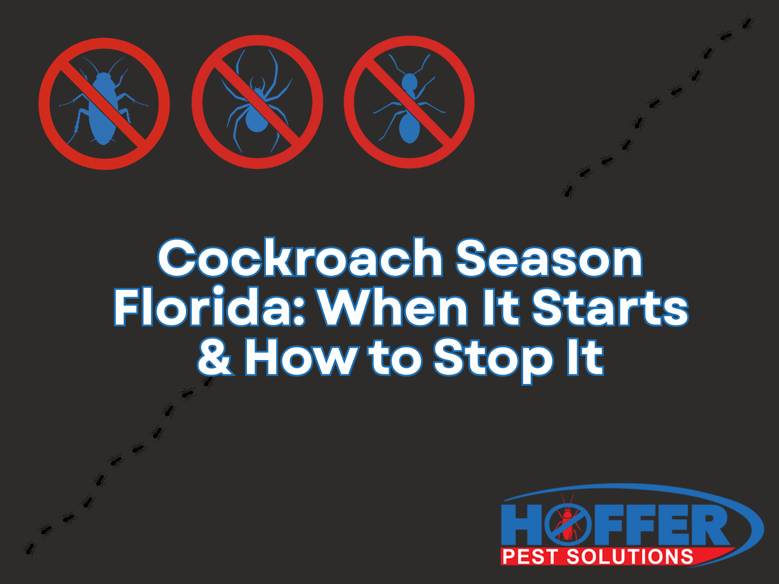 cockroach-season-florida