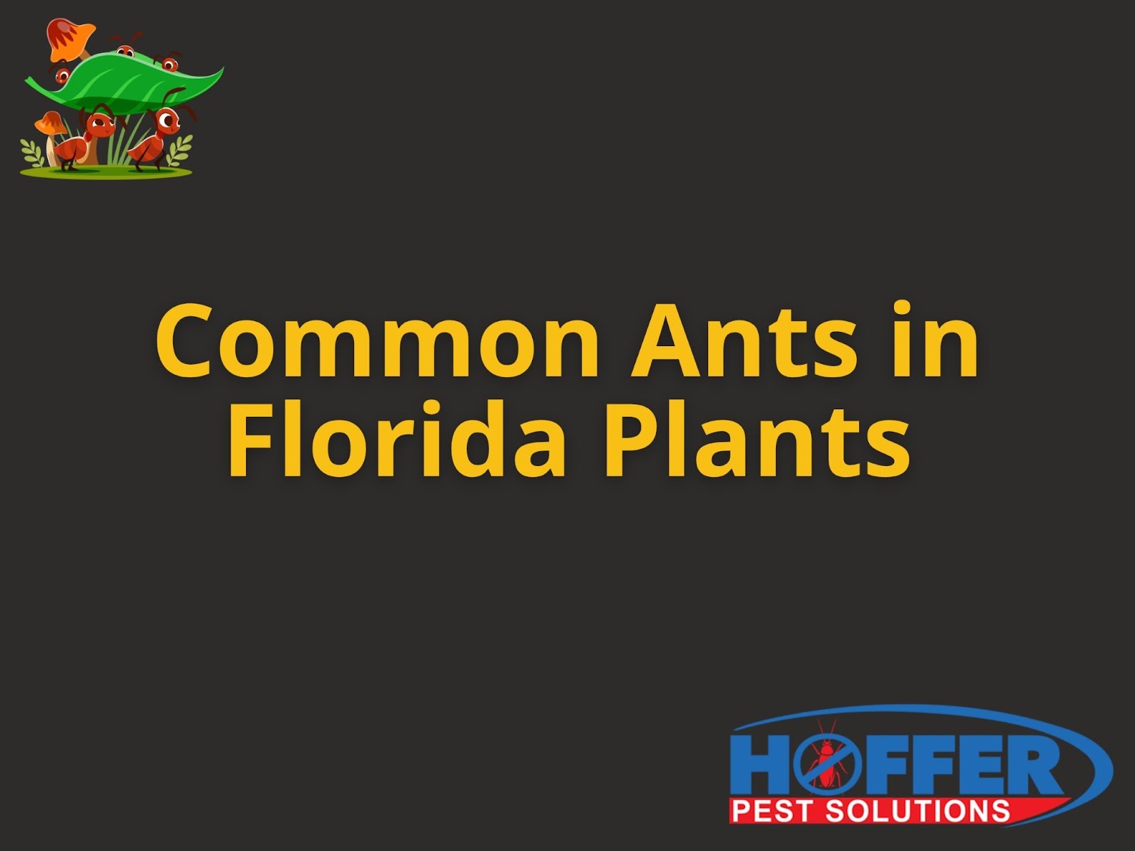 common-ants-in-florida-plants