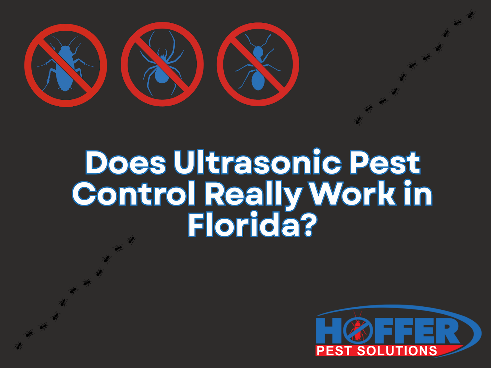 does-ultrasonic-pest-control-work