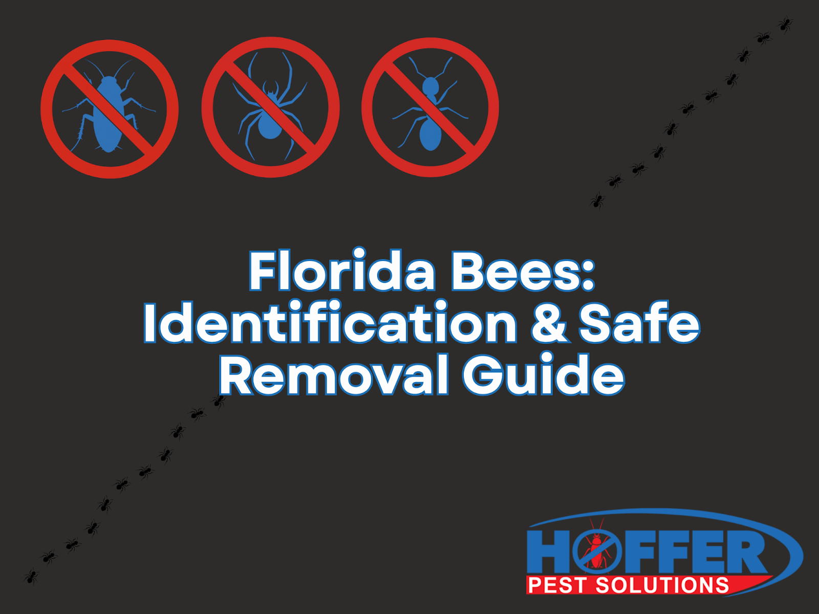 florida-bees