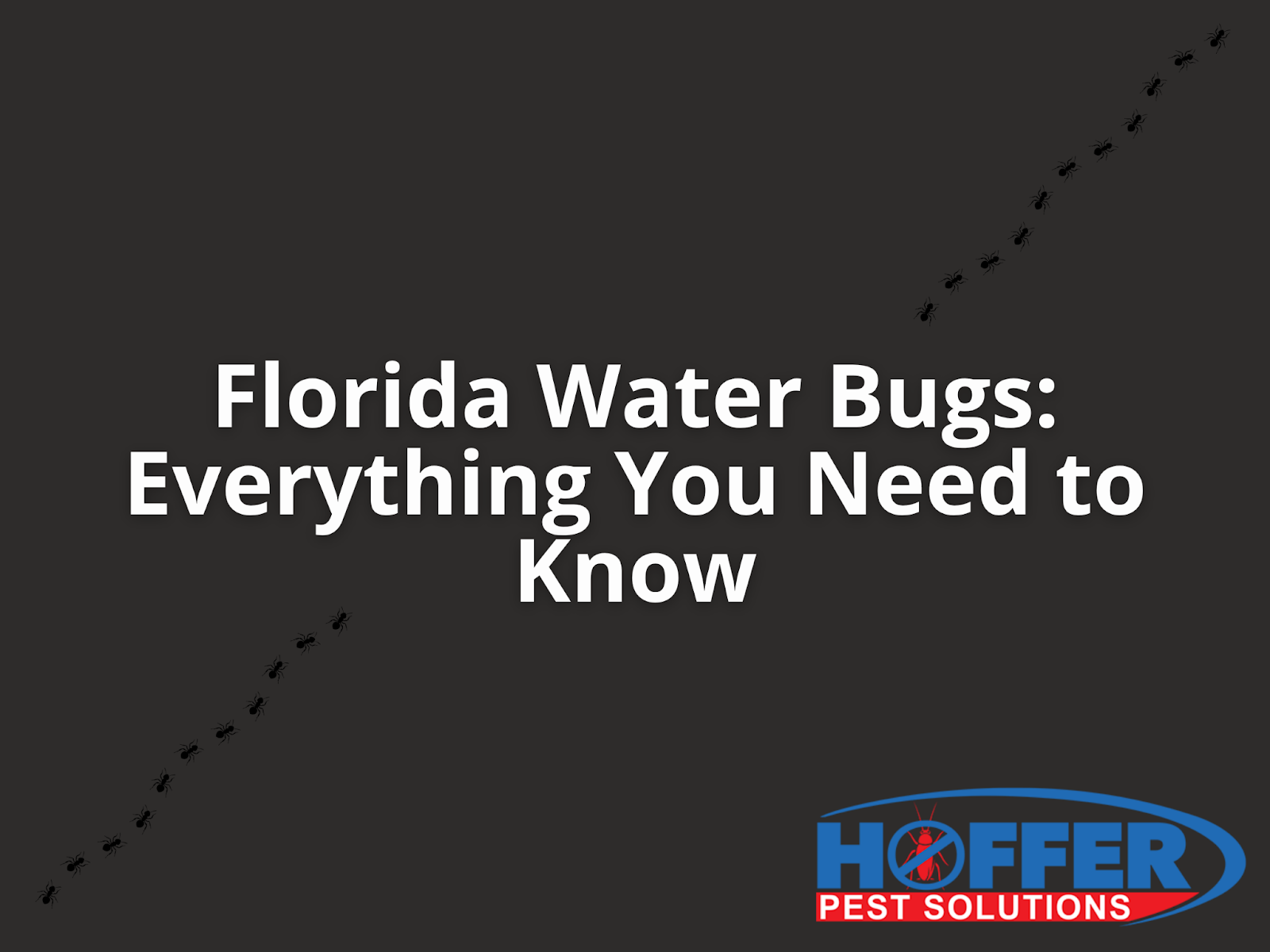 florida-water-bugs
