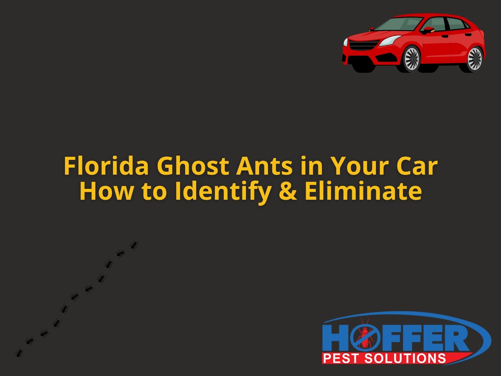 ghost-ants-in-car-florida