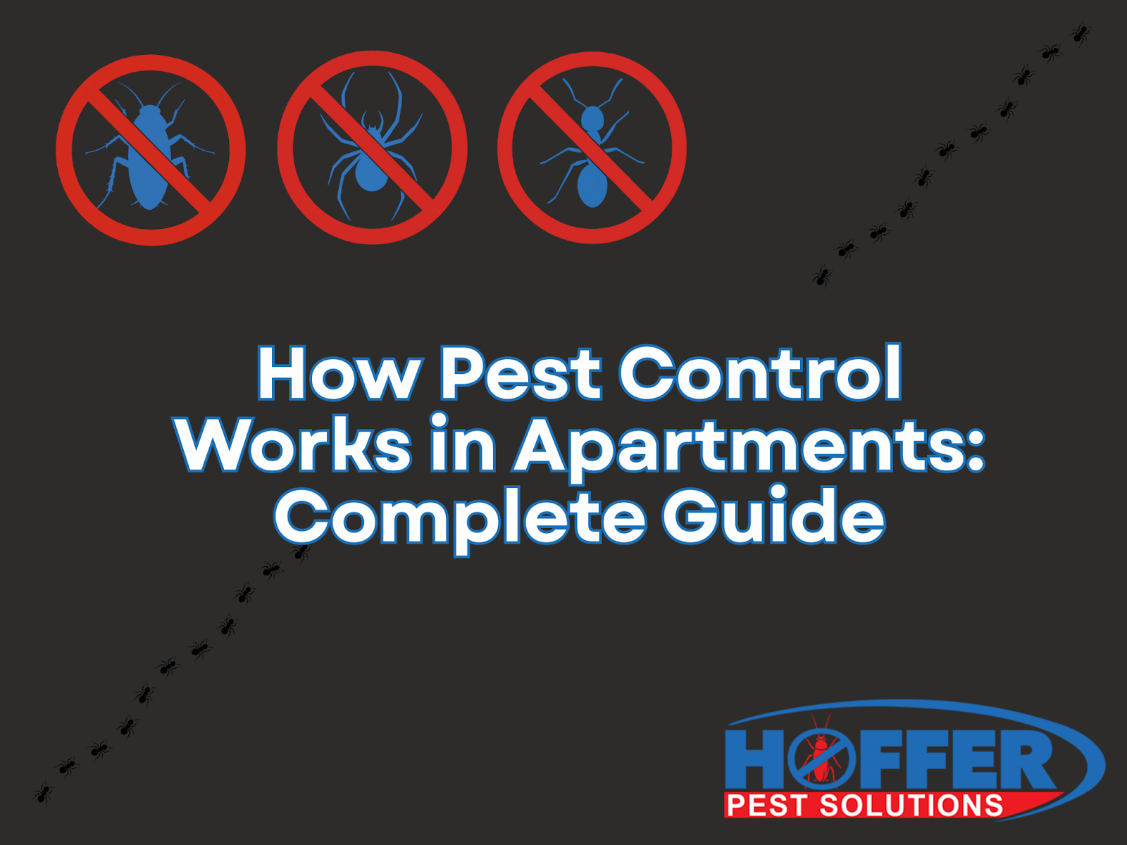 how-does-pest-control-work-in-apartments