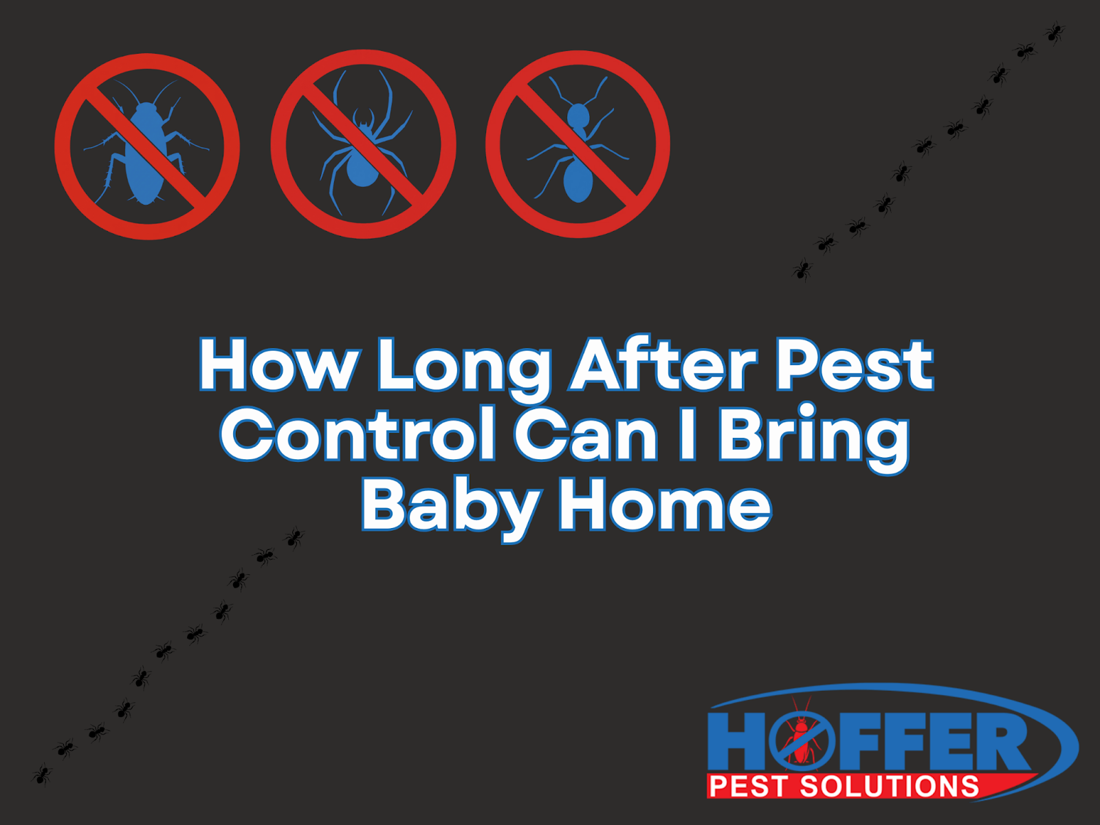 how-long-after-pest-control-can-i-bring-baby-home