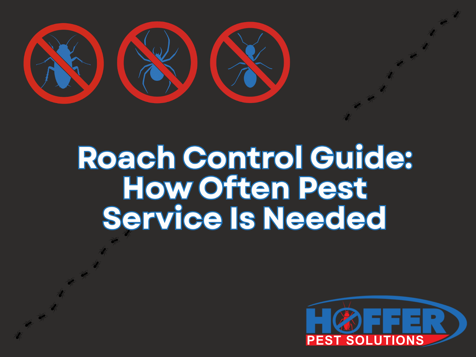 how-often-should-pest-control-be-done-for-roaches
