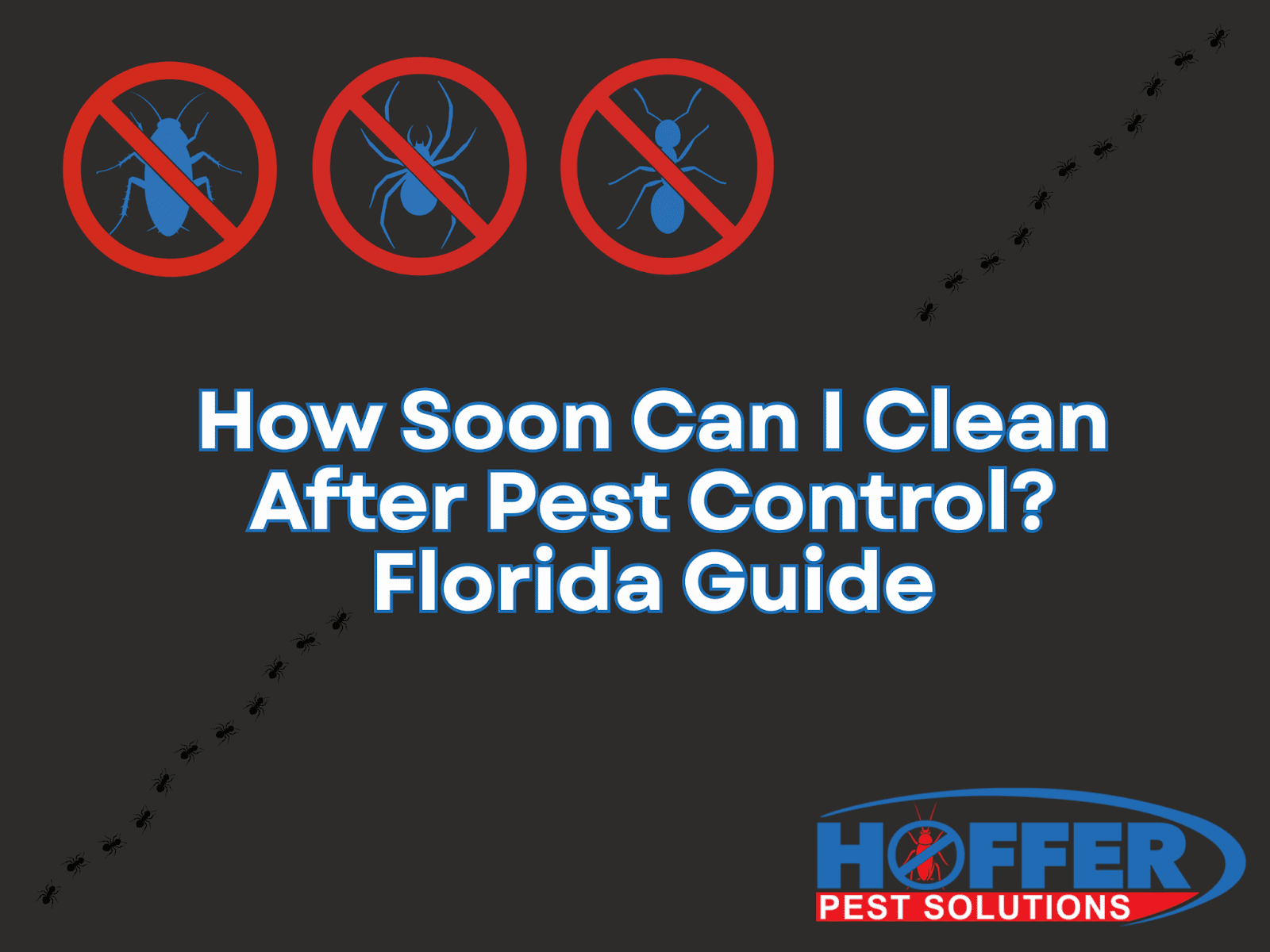how-soon-can-i-clean-after-pest-control