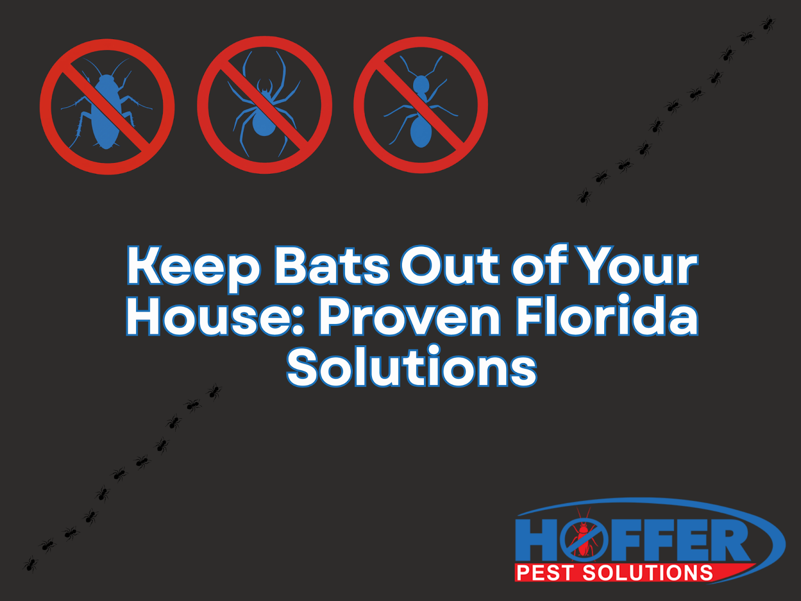 how-to-keep-bats-out-of-your-house