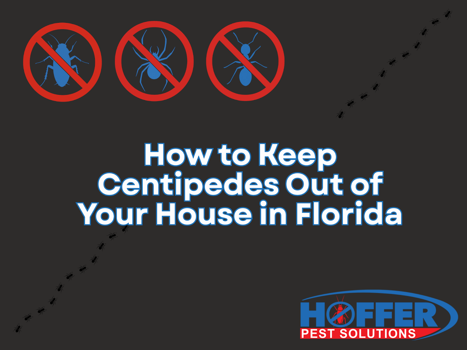 how-to-keep-centipedes-out-of-your-house