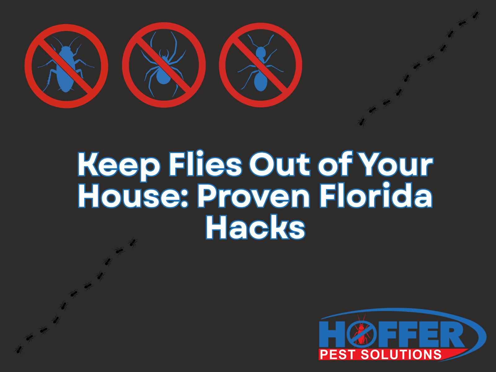 how-to-keep-flies-out-of-your-house