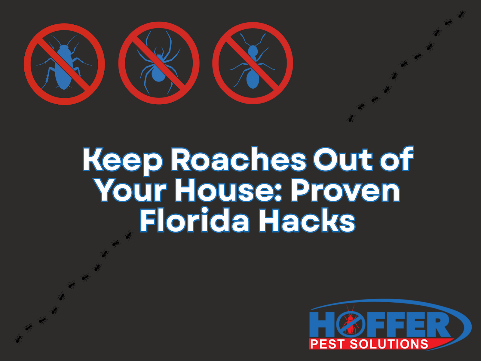 how-to-keep-roaches-out-of-your-house