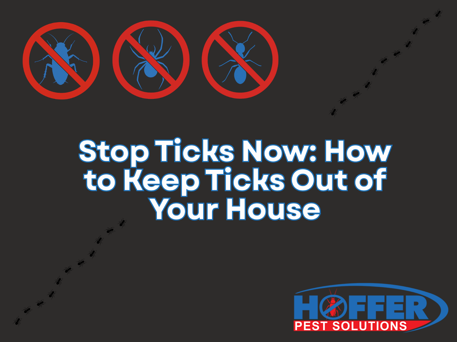 how-to-keep-ticks-out-of-your-house
