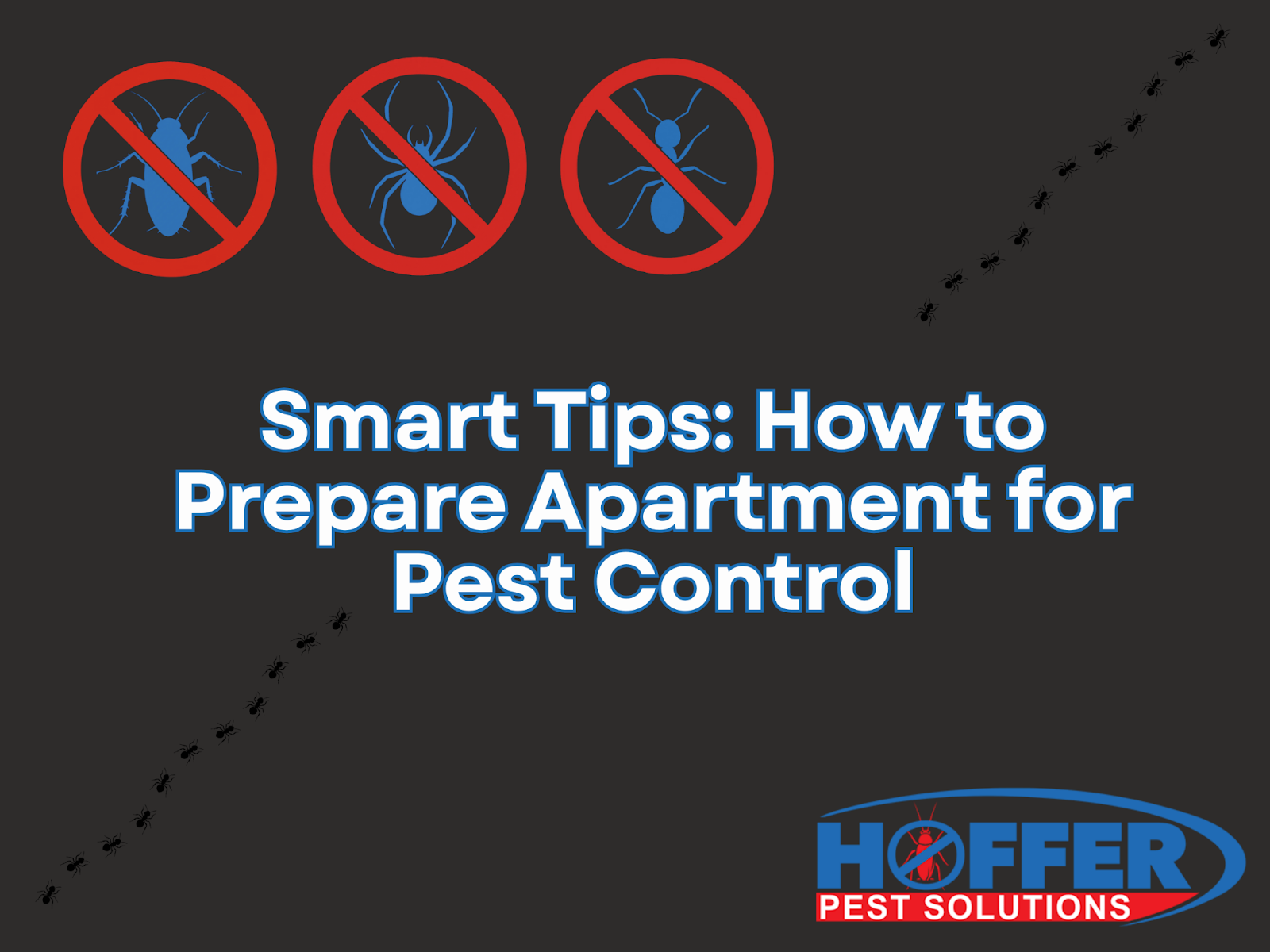 how-to-prepare-apartment-for-pest-control