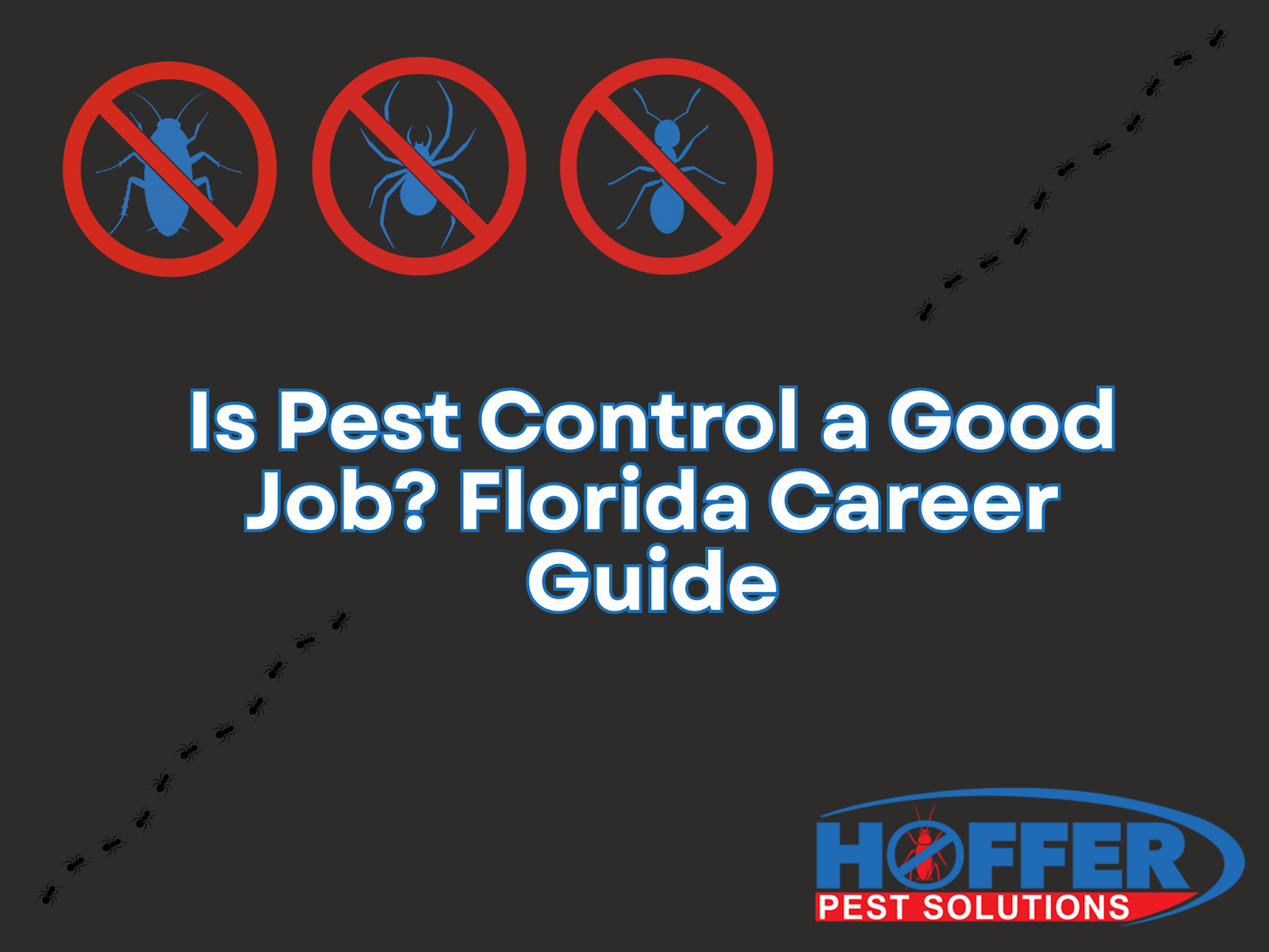 is-pest-control-a-good-job