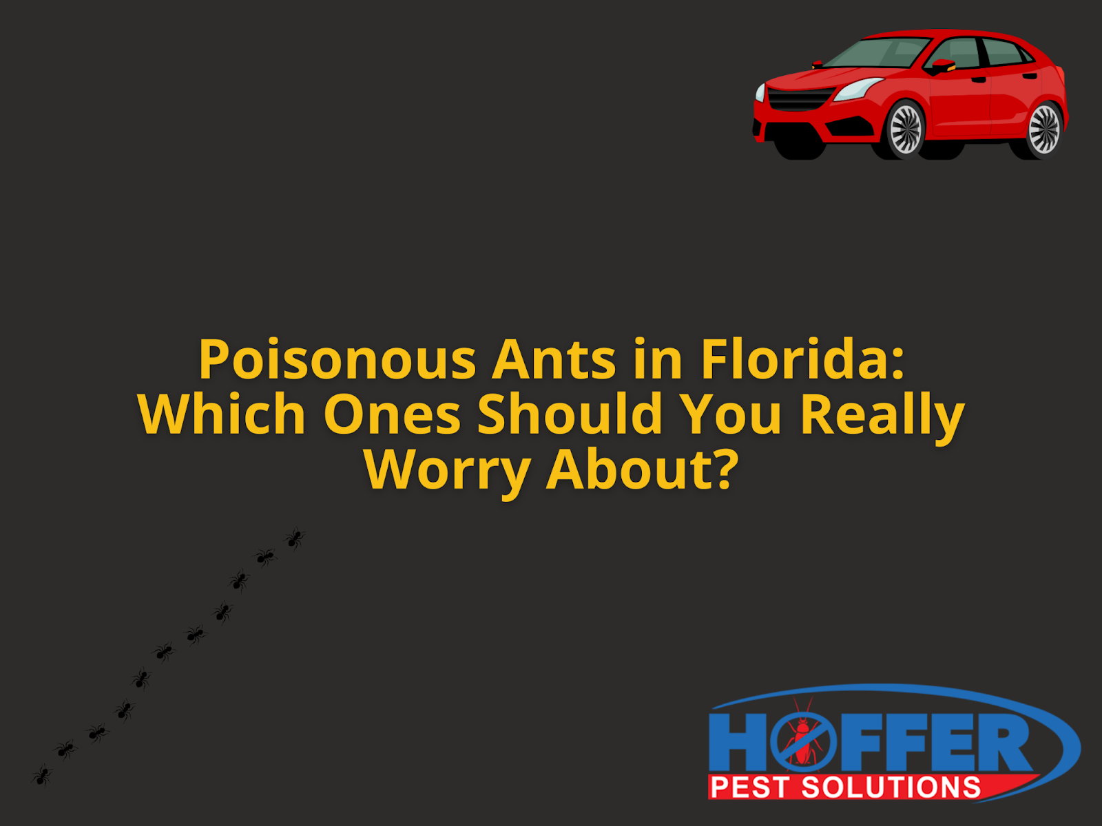 poisonous-ants-florida