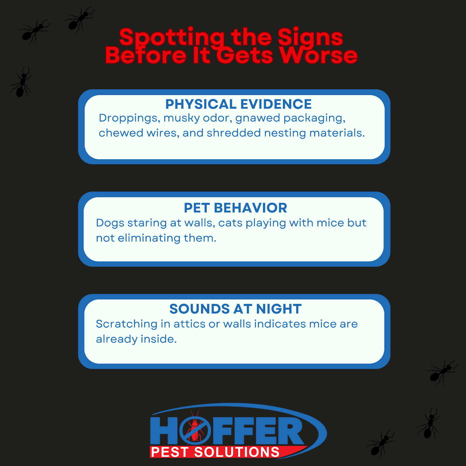Infographic lists mice signs with Hoffer Pest Solutions logo.