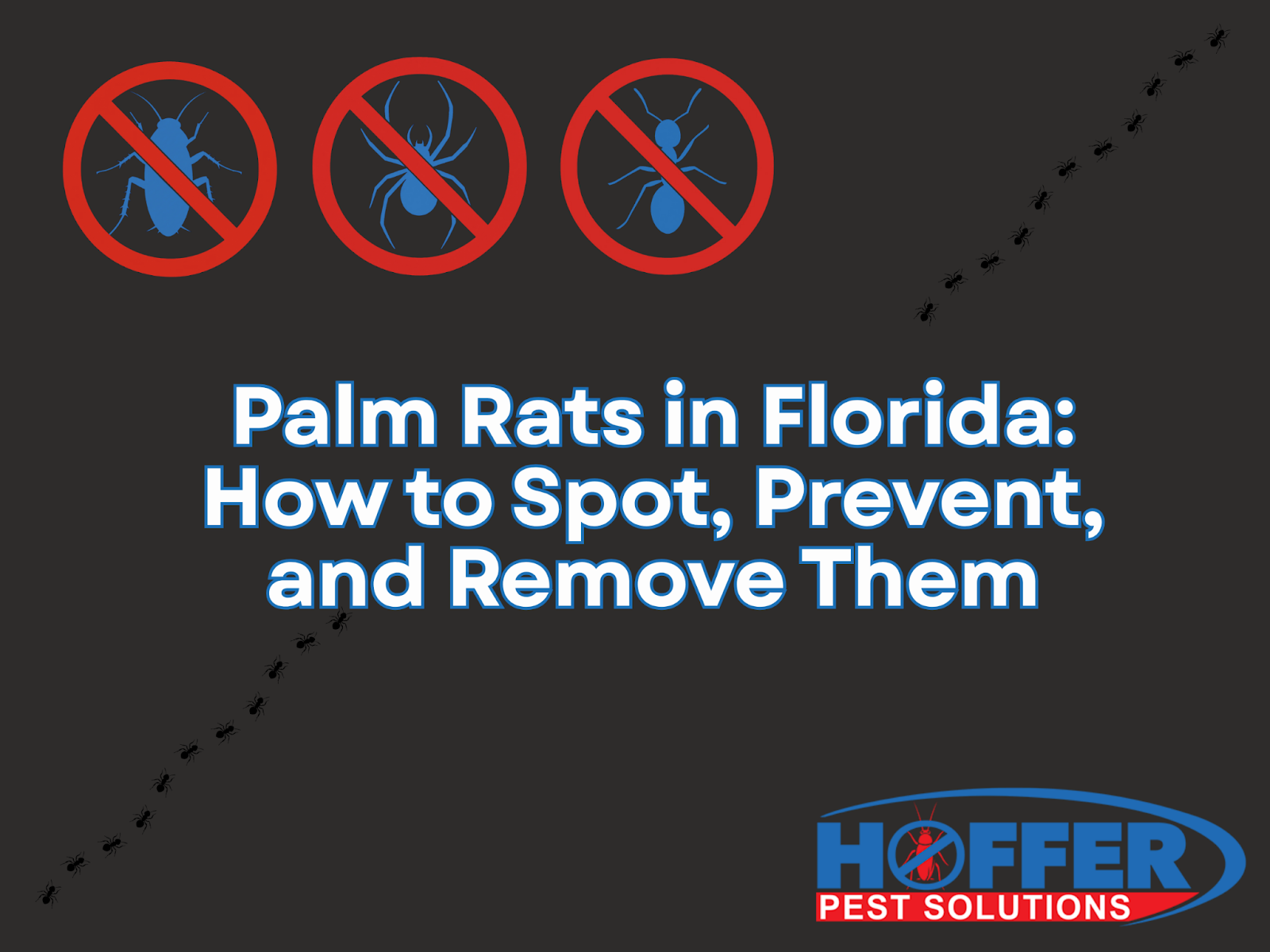 Fl Pier Rats Palm Rats in Florida: How to Spot, Prevent, and Remove Them