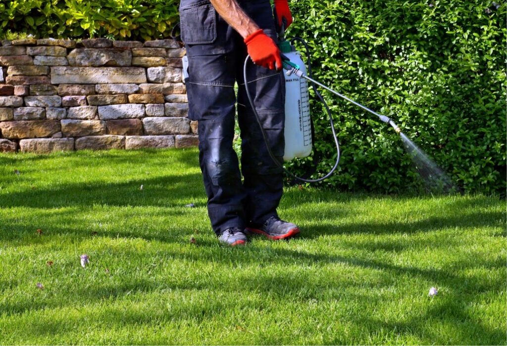 Person wearing gloves sprays liquid on grass.