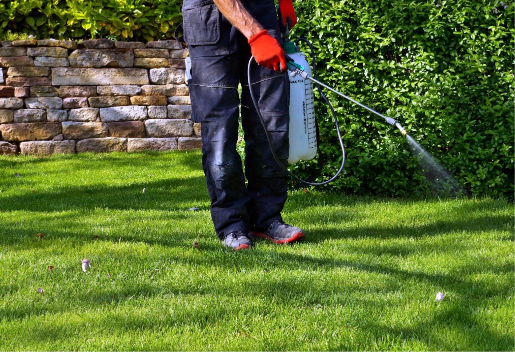 Person wearing gloves sprays liquid on grass.