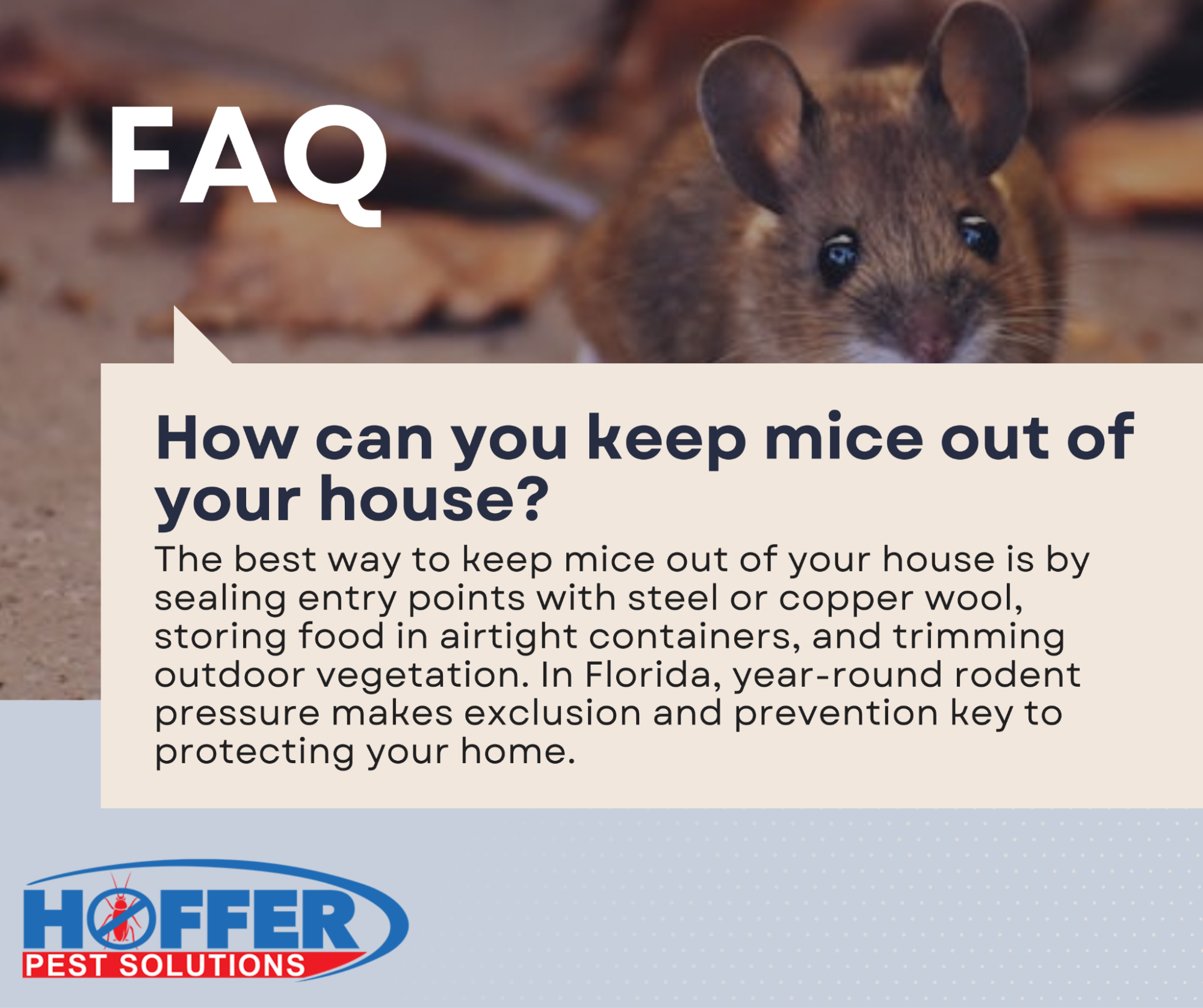 Mouse peeking behind FAQ textbox, Hoffer Pest Solutions logo appears.