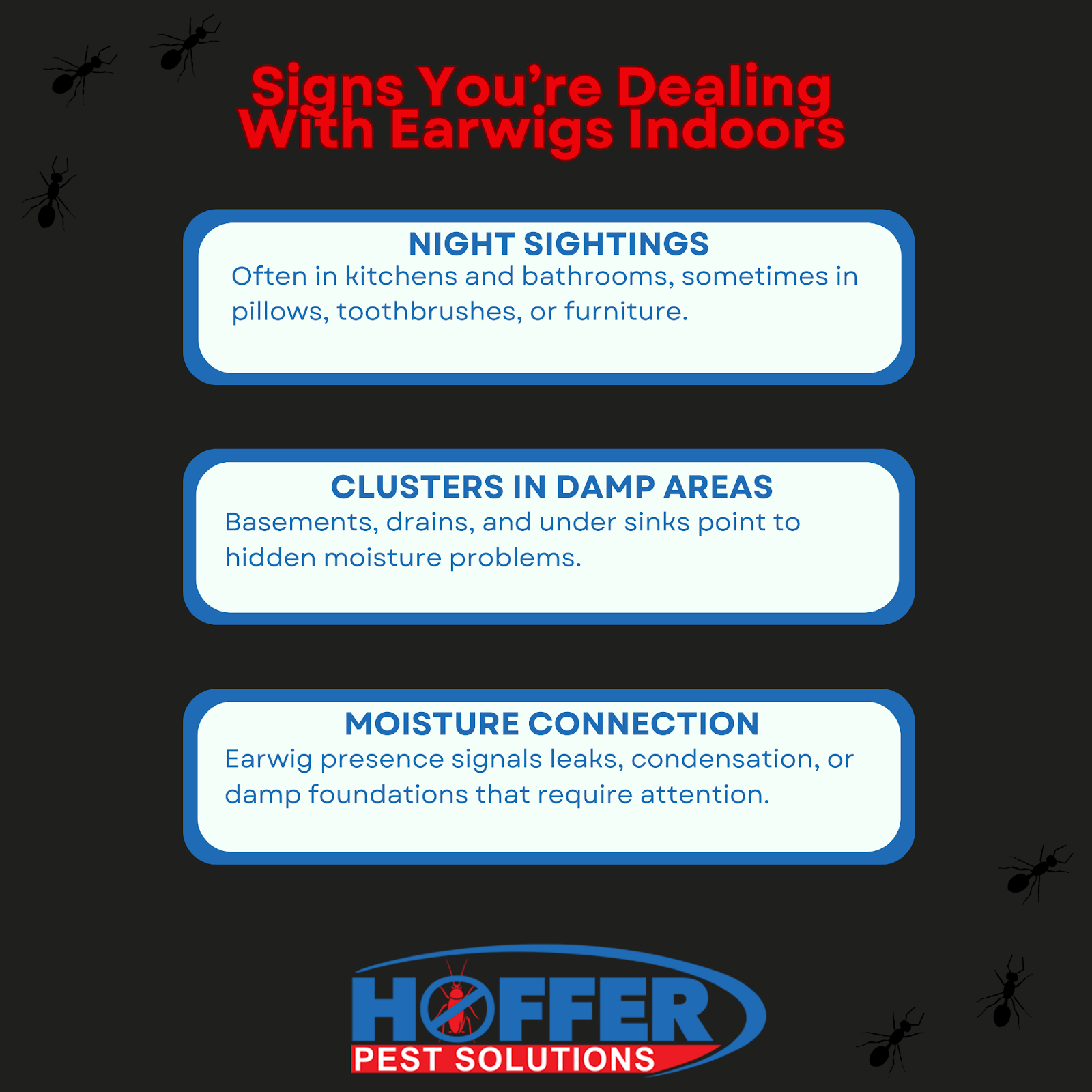 Infographic lists indoor earwig signs, Hoffer Pest Solutions logo.